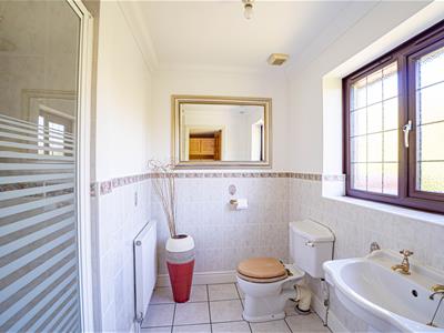 Picture 24